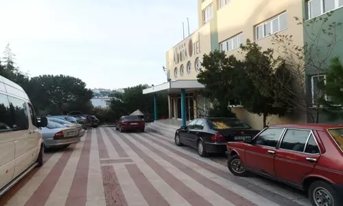 آلبورا کوش آداسی